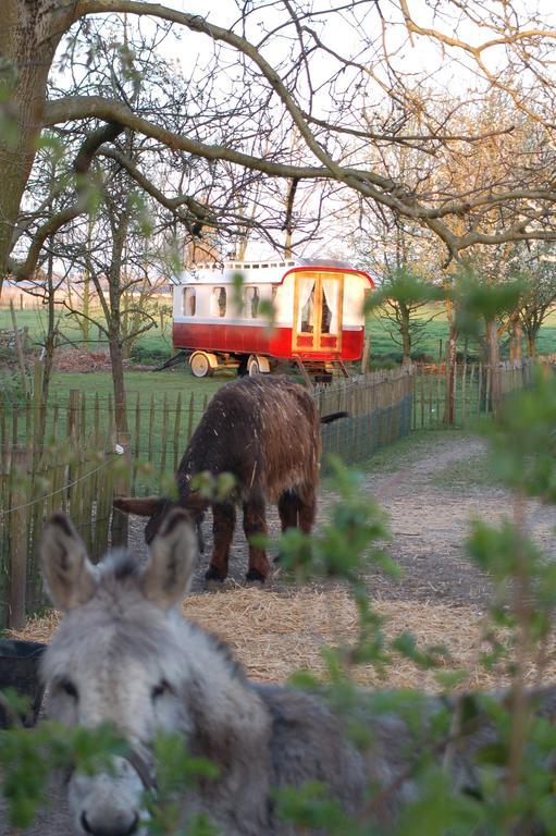 B&B Vennehoeve Vremde Pokoj fotografie